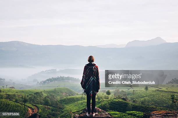 woman on tea plantation in india - horizontal stock pictures, royalty-free photos & images