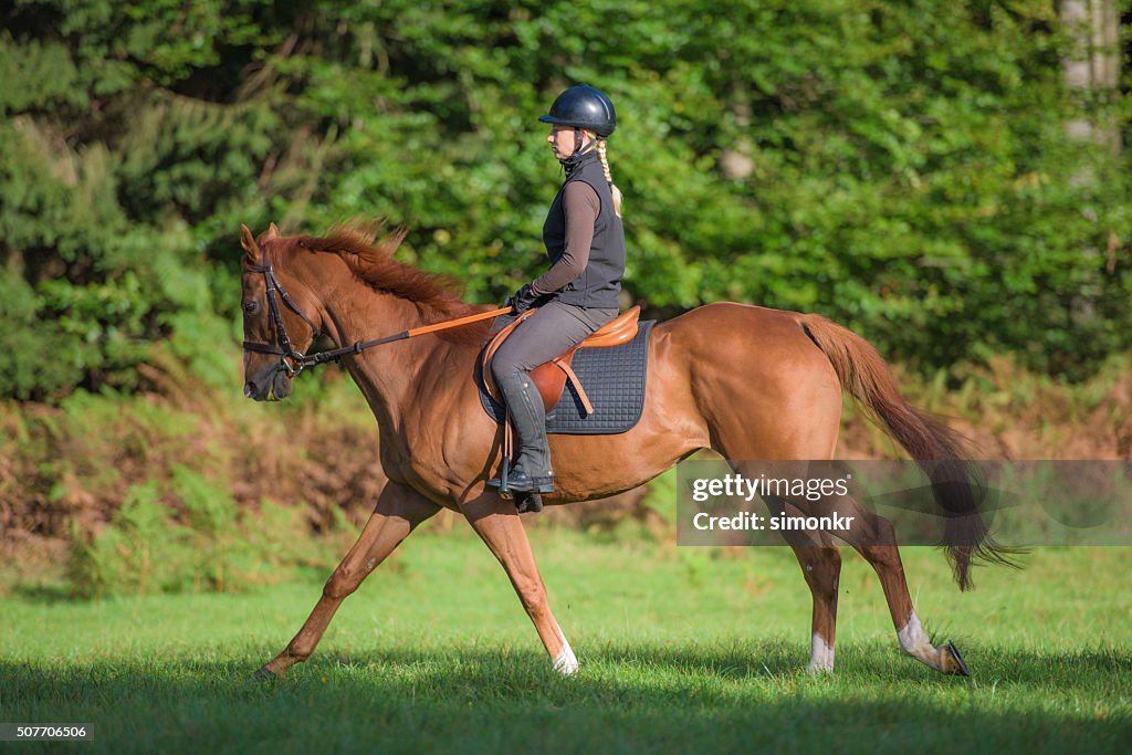 Donna cavalcare cavalli