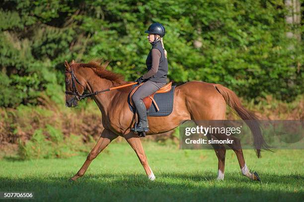 woman riding horse - stirrup stock pictures, royalty-free photos & images