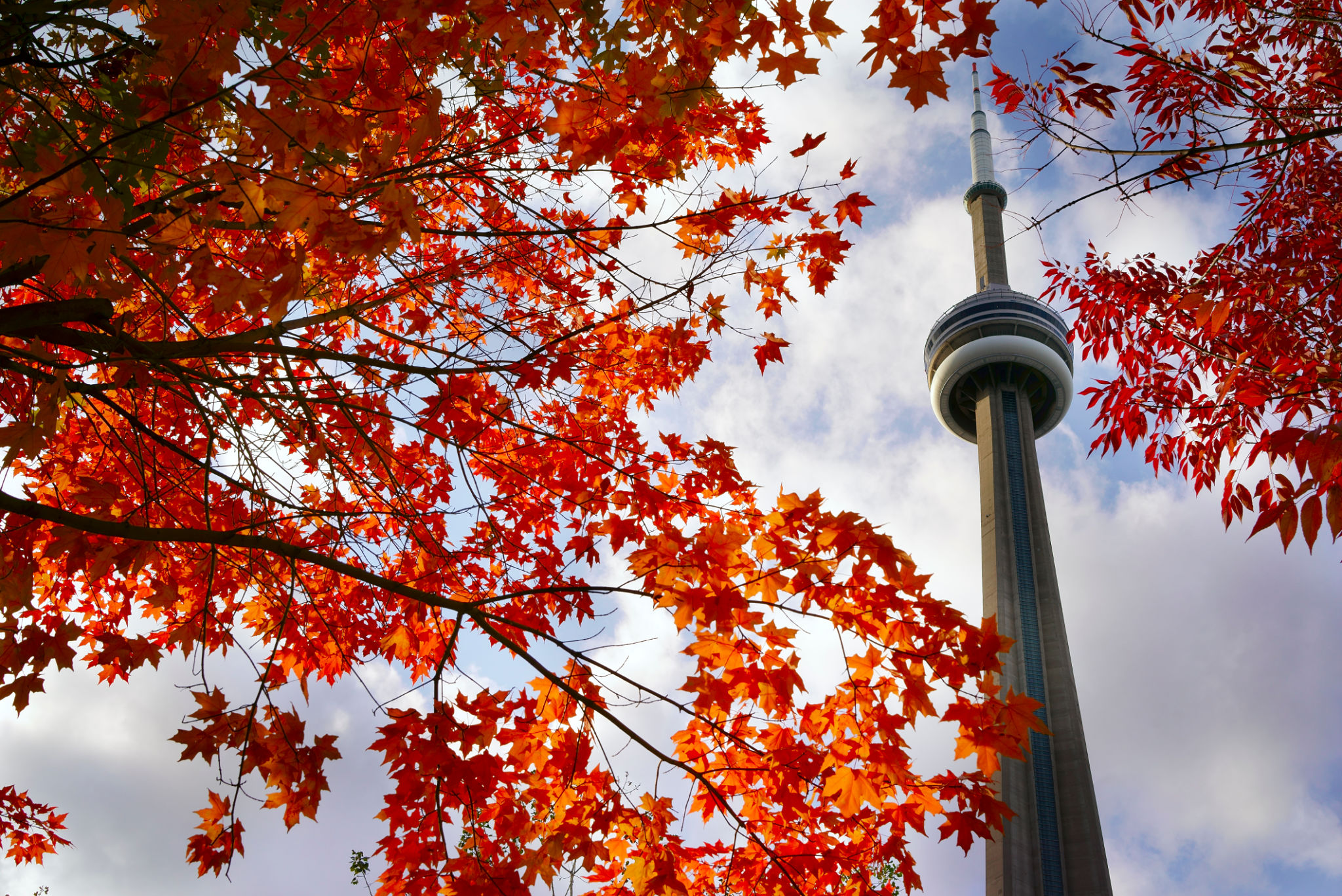 toronto seasons