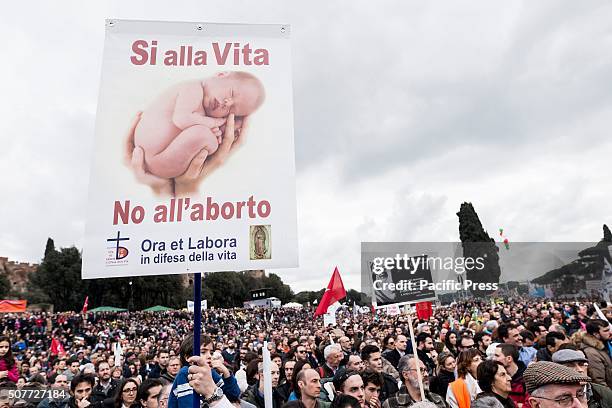 People joins the demonstration with banners and flag in Rome. "Family Day", an event organized in defense of traditional Catholic family values and...