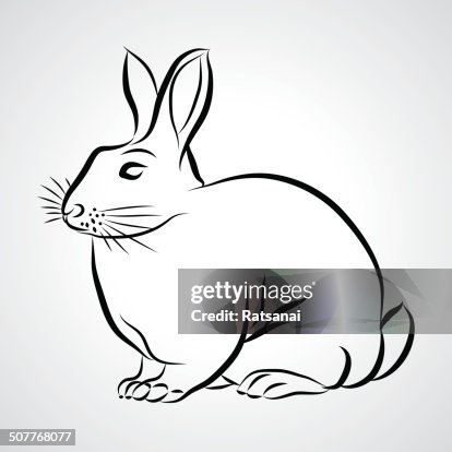 Graphic Rabbit Image Rabbit High-Res Vector Graphic - Getty Images