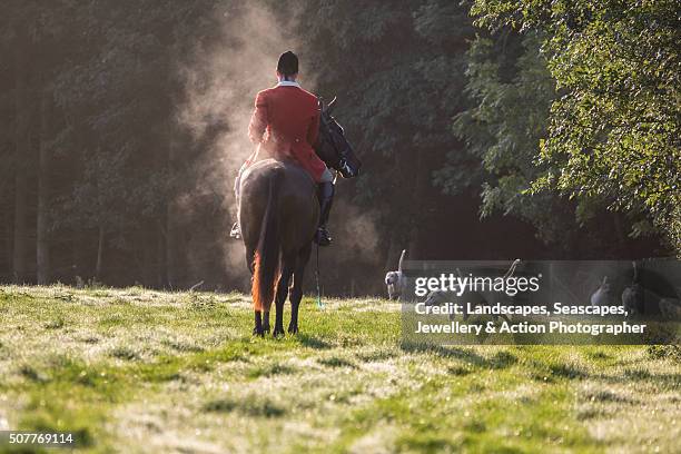 Steam Riding Horses 1,057 Steam Horse Stock Photos, High-Res Pictures, and Images - Getty ...
