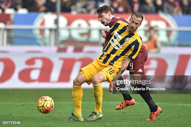 Andrea Belotti of Torino FC competes with Evangelos Moras of Hellas Verona FC during the Serie A match between Torino FC and Hellas Verona FC at...
