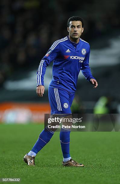 Pedro of Chelsea in action during The Emirates FA Cup Fourth Round match between Milton Keynes Dons and Chelsea at Stadium mk on January 31, 2016 in...