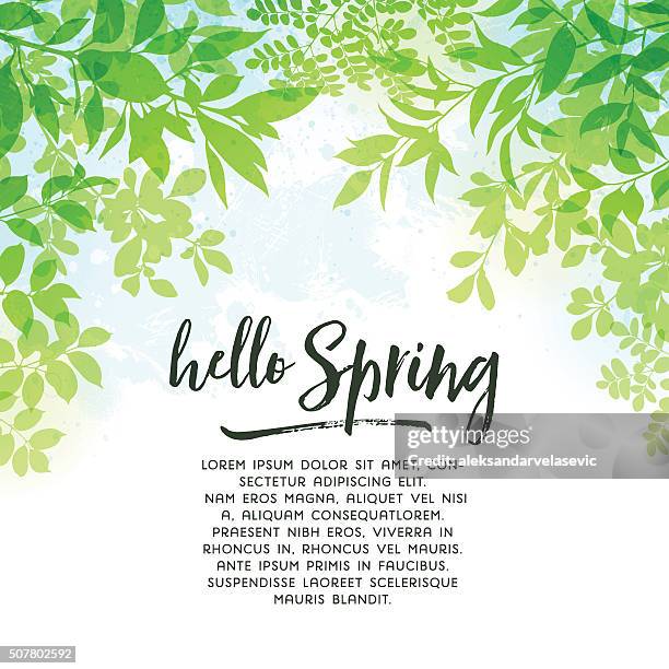 spring leaves background - branch plant part stock illustrations