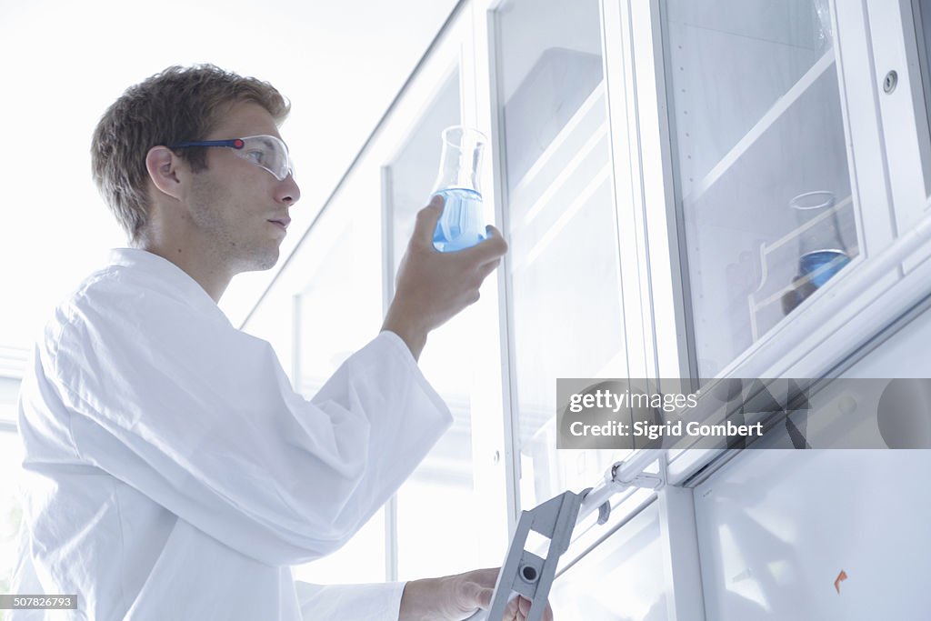 Male scientist scrutinizing erlenmeyer flask in lab