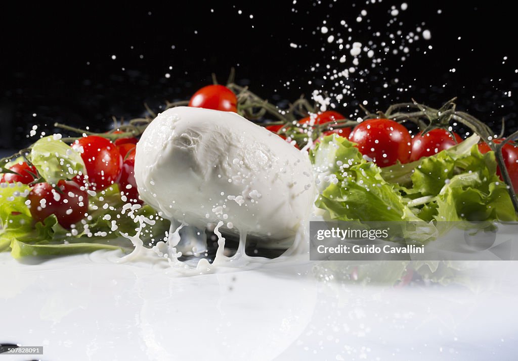 Vine tomatoes, mozzarella and lettuce leaf splashing into milk