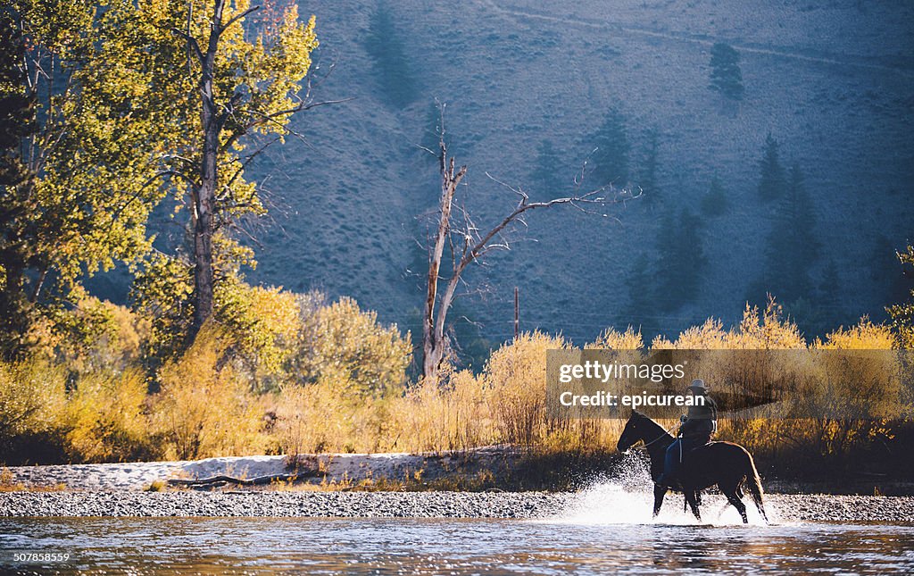 Homem Cavalo através de parques Raso água ao longo da margem do Rio