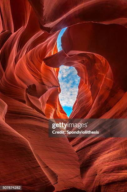 レイヨウ canyon ,arizona ,米国 - レッドロックス ストックフォトと画像