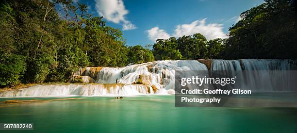 agua azul - agua azul stock-fotos und bilder