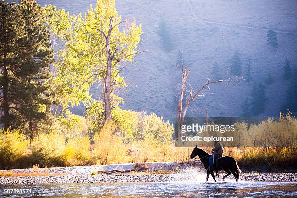 horse and rider wade in water along western river bank - montana western usa stock pictures, royalty-free photos & images