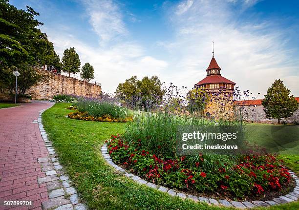 big tower hinter der blumen. - esslingen am neckar stock-fotos und bilder