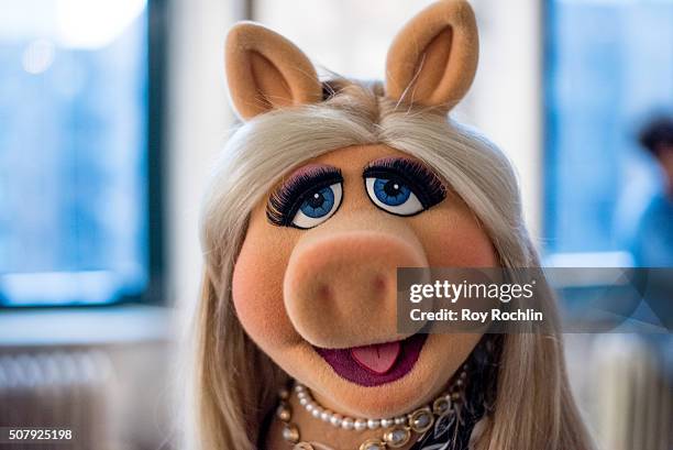 Legendary Miss Piggy discusses her late-night talk show Up Late with Miss Piggy with AOL Build at AOL Studios on February 1, 2016 in New York City.