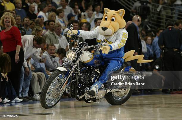 The Denver Nuggets mascot, Rocky the Mountain Lion, rides a motorcycle during an intermission in Game four of the Western Conference Quarterfinals...