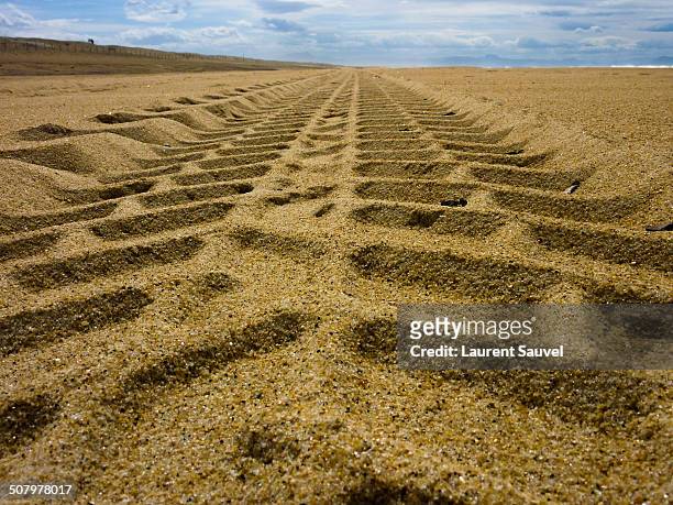 tracks in the sand, tarnos beach, france - laurent sauvel photos et images de collection