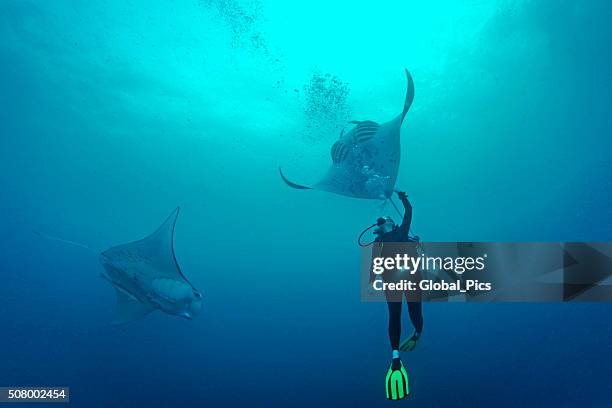 palau - micronesia - palau stockfoto's en -beelden