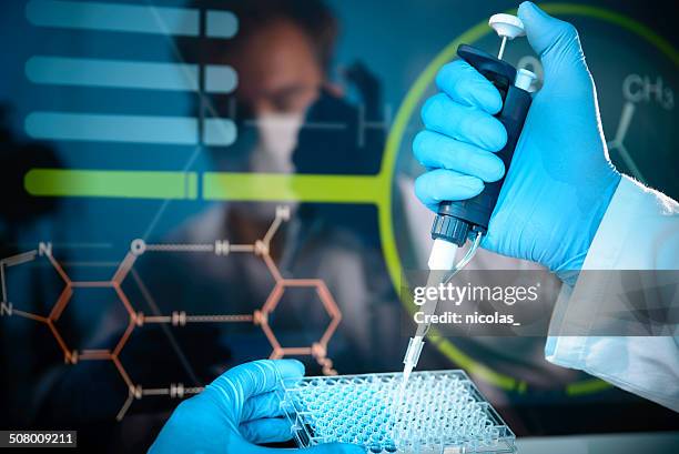 lab experiment - microplate stock pictures, royalty-free photos & images