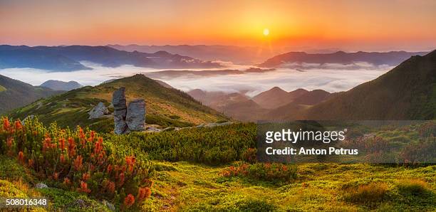 panorama of a beautiful sunrise panorama of a beautiful sunrise in the mountainsin the mountains - beauty in nature stock pictures, royalty-free photos & images