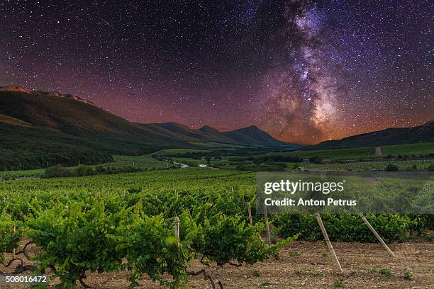 vineyards in the mountains at night under the stars - vineyard grapes landscapes stock pictures, royalty-free photos & images