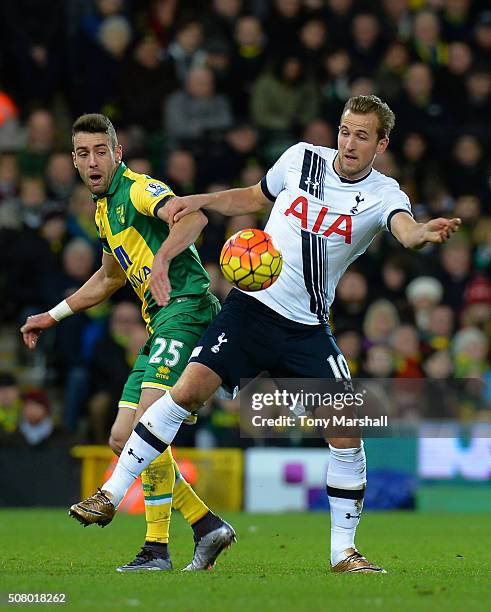 Harry Kane of Tottenham Hotspur and Ivo Pinto of Norwich City compete for the ball during the Barclays Premier League match between Norwich City and...