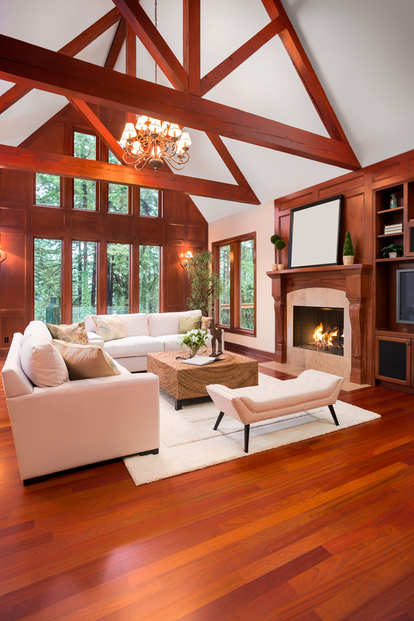 living room built-ins