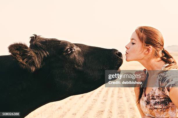 rancher woman kissing cow - aberdeen angus stockfoto's en -beelden