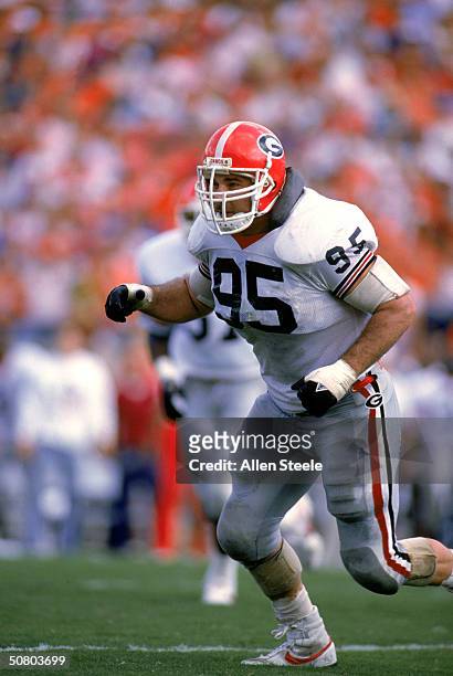 Nose guard Bill Goldberg Jr. Of the University of Georgia Bulldogs on the field during the game against the Florida Gators on November 5, 1988 at The...