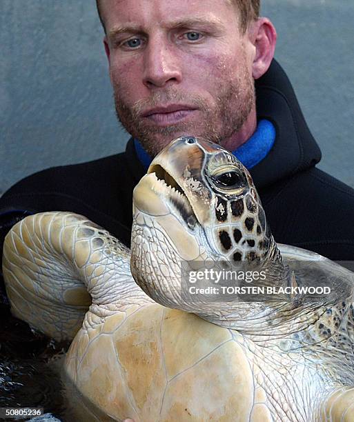 Turtle Back Zoo Photos and Premium High Res Pictures - Getty Images