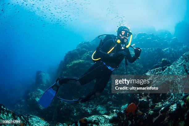 scuba taucher - scuba diving girl stock-fotos und bilder