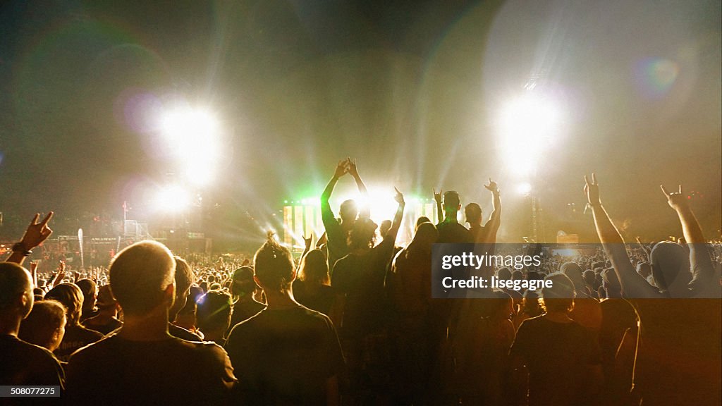 Folla ad un concerto di musica