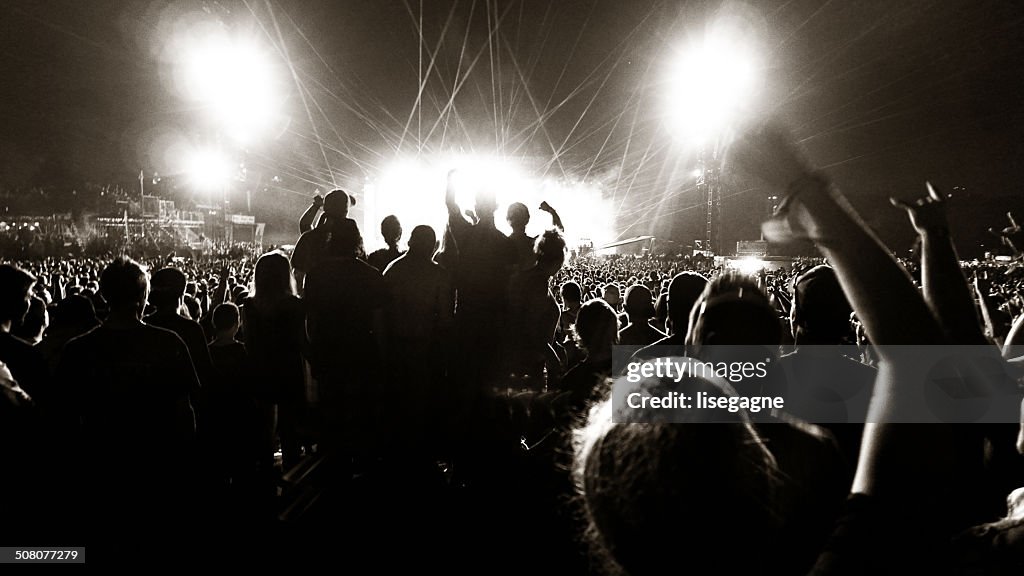 Crowd at a music concert