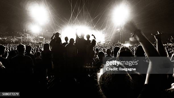 crowd at a music concert - heavy metal stock pictures, royalty-free photos & images