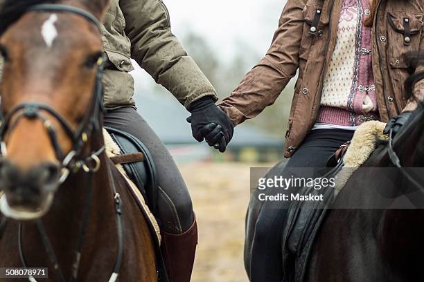 low section of couple holding hands while riding horses - low rider bildbanksfoton och bilder