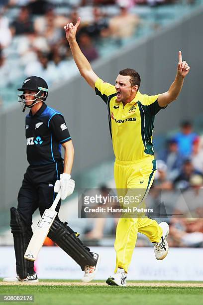 Josh Hazlewood of Australia celebrates the wicket of Luke Ronchi of the Black Caps during the One Day International match between New Zealand and...