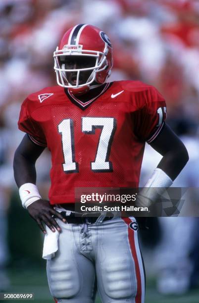 Quarterback Quincy Carter of the Georgia Bulldogs looks on during the game against the Wyoming Cowboys on September 19, 1998 at Sanford Stadium in...