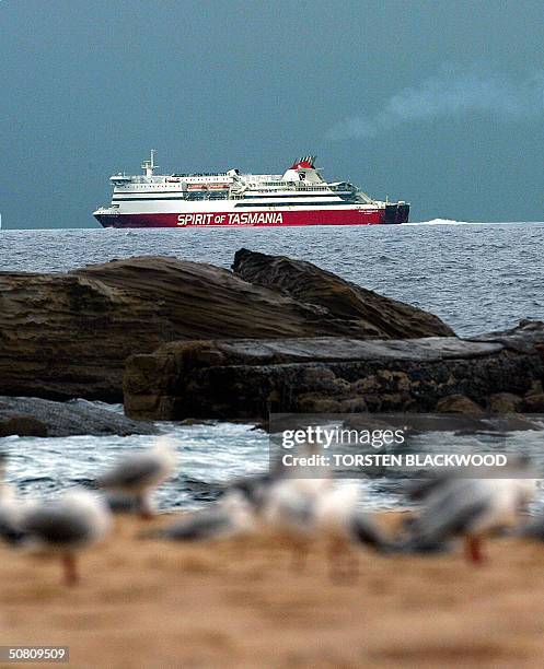 Long Islet (Tasmania) Stockfoto's en beelden Getty Images
