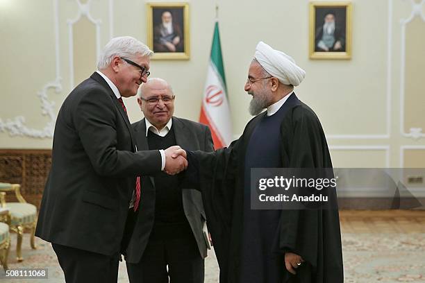 German Foreign Minister Frank-Walter Steinmeier shake hands with Iranian President Hassan Rouhani at the end of their meeting at the Presidential...