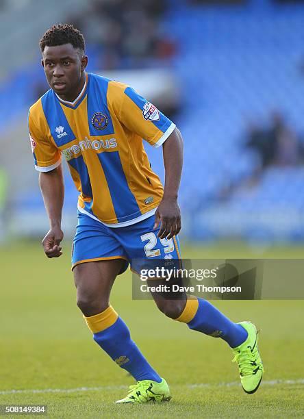 January 30: Larnell Cole of Shrewsbury Town during The Emirates FA Cup Fourth Round tie at New Meadow on January 30, 2016 in Shrewsbury, England.