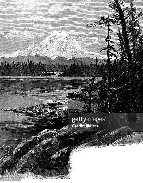 antique illustration of mount tacoma - mount rainier forest stock illustrations