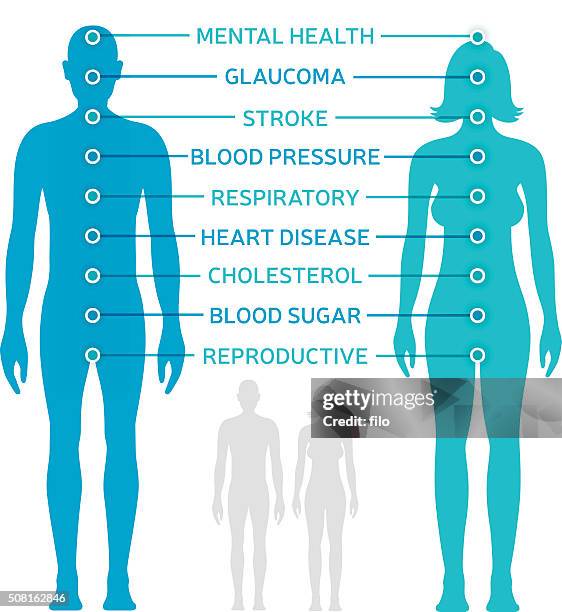 bildbanksillustrationer, clip art samt tecknat material och ikoner med body health diagram - woman body contour standing