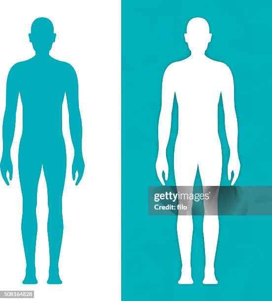 male body form - joint body part stock illustrations