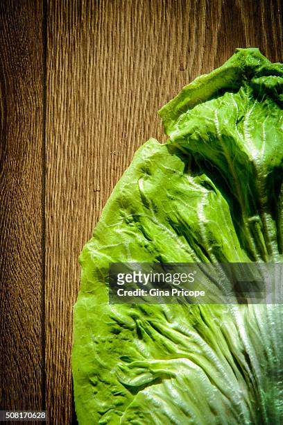 close up of a giant lettuce leaf - insalata - fotografias e filmes do acervo