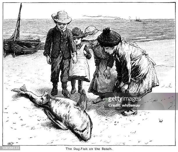 victorian children looking at a dead dog-fish - animal lying on back stock illustrations