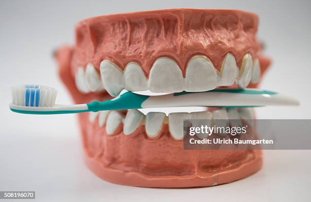 Symbol photo on the topics oral hygiene, tooth brush, teeth, brushing teeth, etc. The picture shows a teeth with a toothbrush.