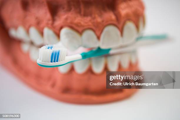 Symbol photo on the topics oral hygiene, tooth brush, teeth, brushing teeth, etc. The picture shows a teeth with a toothbrush.