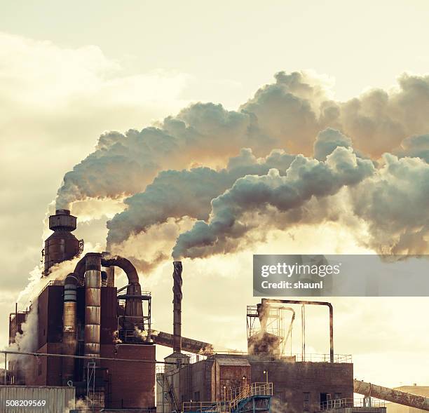 steaming paper mill - paper mill stock pictures, royalty-free photos & images