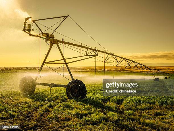 irrigator maschine im palouse - irrigation stock-fotos und bilder