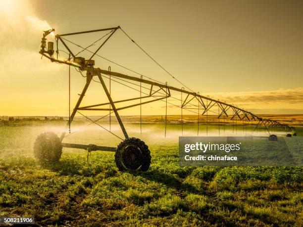 irrigator machine at palouse - irrigatiesysteem stockfoto's en -beelden