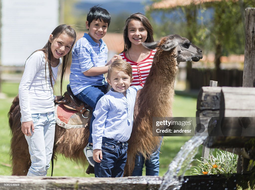 Kids with a llama